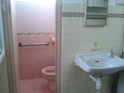 Blk 8 Holland Avenue (Queenstown), HDB 3 Rooms #163218642
